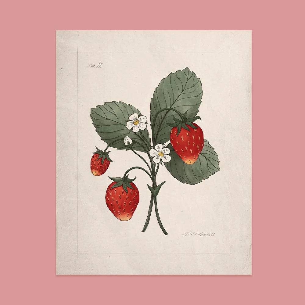 The Jilly Box: Wild Strawberry Print